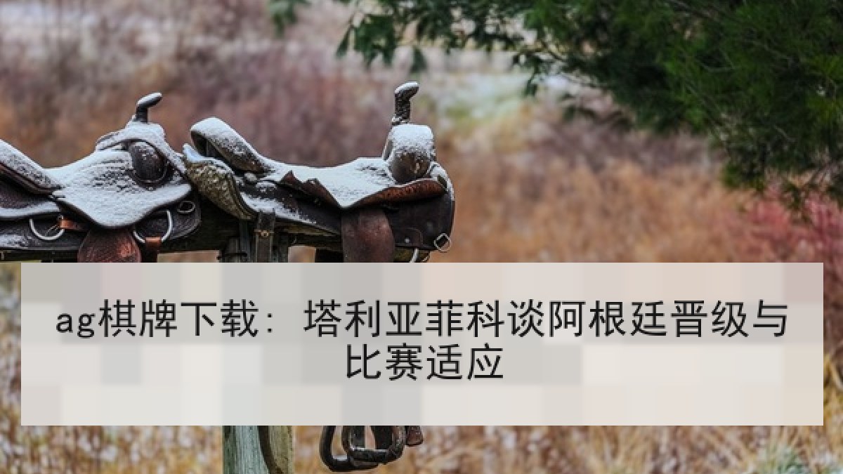 ag棋牌下载: 塔利亚菲科谈阿根廷晋级与比赛适应