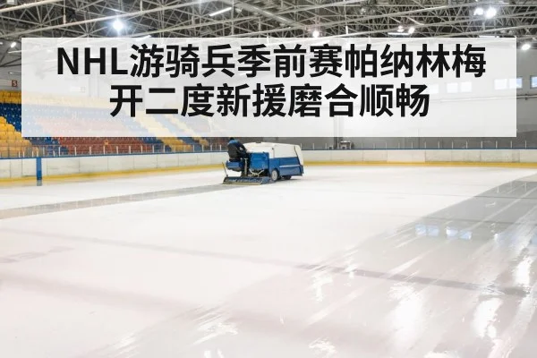 ice hockey arena